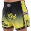 Шорти для тайського боксу та кікбоксингу FAIRTEX №1 3