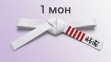 Пояс Бушинкан Дзю-дзюцу Мон (дитячий) 1