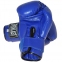 Боксерські рукавички Ever, DX-380 0